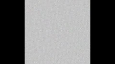 Brenda online show from October 2025 11:35:01 AM