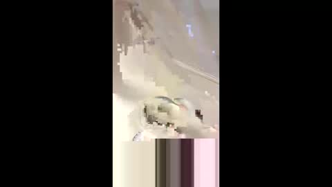 Snapshot of _da_d1ck_ chatting on March 2025 06:08:02 PM Da d1ck online show from March 2025 06:08:02 PM