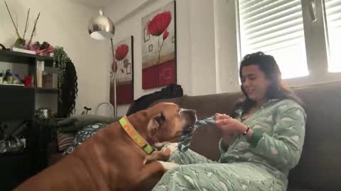 Snapshot of _elena_barra chatting on November 2025 12:41:02 PM elena barra online show from November 2025 12:41:02 PM