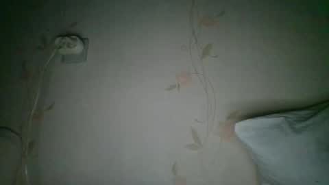 Snapshot of _eloizi_dev chatting on March 2026 02:11:02 AM Eloiz online show from March 2026 02:11:02 AM