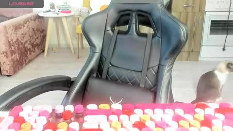 Snapshot of _feralberry__ chatting on March 2026 06:29:02 AM Alis online show from March 2026 06:29:02 AM