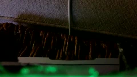 Snapshot of _frankensquirter___ chatting on February 2026 02:27:02 AM Rex online show from February 2026 02:27:02 AM