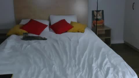 Snapshot of _gingermean_ chatting on May 2026 11:15:01 AM GingerMean online show from May 2026 11:15:01 AM