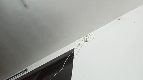 Snapshot of _iluvatar_ chatting on February 2026 04:55:01 AM _iluvatar_ online show from February 2026 04:55:01 AM