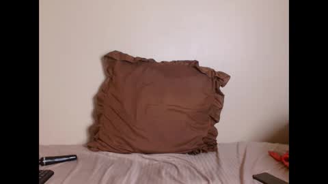 Snapshot of _karishma chatting on March 2025 01:07:01 PM _karishma online show from March 2025 01:07:01 PM