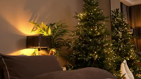 FANSLY ---   anal in private 700 tokens online show from November 2025 06:12:01 PM