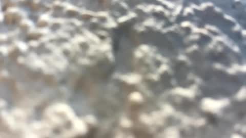 Snapshot of _littlewolfie_ chatting on February 2025 04:10:01 PM Little Wolfie online show from February 2025 04:10:01 PM