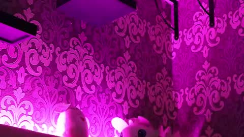 Stream  at  am in MoscowI am waiting for you very much3 online show from February 2025 11:47:02 PM