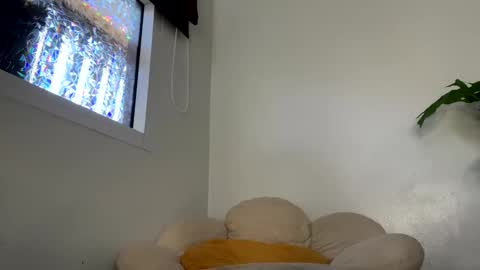 Snapshot of _morpho_ chatting on January 2025 05:09:01 AM Francine Aisi Morpho - a genus of blue butterflies. online show from January 2025 05:09:01 AM