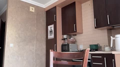 Francine Aisi Morpho - a genus of blue butterflies. online show from November 2025 11:21:02 AM