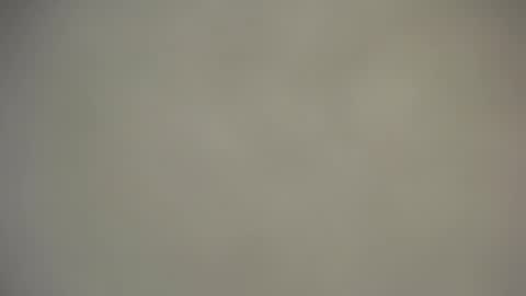 Nica online show from November 2025 09:09:02 AM