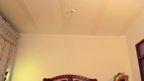 Sammy  online show from March 2026 12:47:02 AM