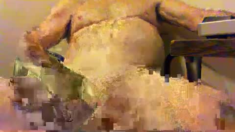  pervin  online show from February 2025 02:51:02 AM