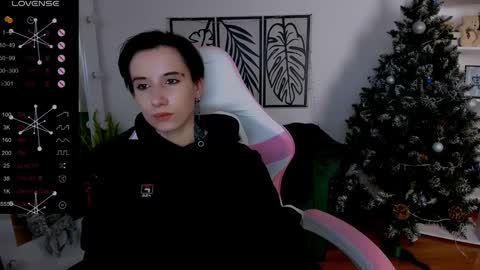 Rein online show from January 2025 12:16:02 PM