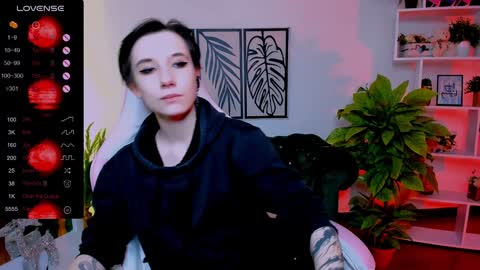 Rein online show from January 2025 09:28:02 AM