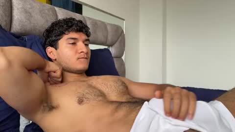 Euler online show from November 2025 12:17:01 PM