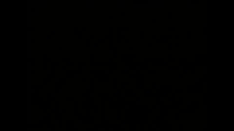 Snapshot of _squirty_pussyyy_ chatting on January 2025 10:05:01 AM Melisa online show from January 2025 10:05:01 AM