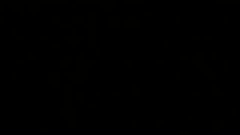 Snapshot of _squirty_pussyyy_ chatting on February 2025 02:46:01 PM Melisa online show from February 2025 02:46:01 PM