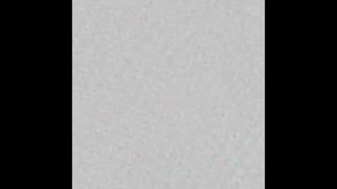 Snapshot of _tammarra_ chatting on February 2025 02:54:02 PM _tammarra_ online show from February 2025 02:54:02 PM