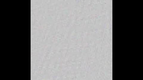 Snapshot of _tammarra_ chatting on February 2025 12:03:02 PM _tammarra_ online show from February 2025 12:03:02 PM