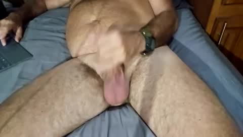 _travelingman online show from December 2024 03:12:01 AM