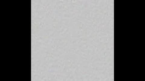 Vicky online show from September 2025 12:08:02 PM