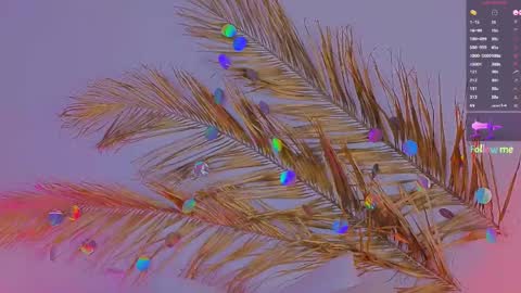 Ally online show from March 2025 03:24:02 PM