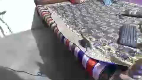 aakhan804 online show from June 2026 05:12:02 PM