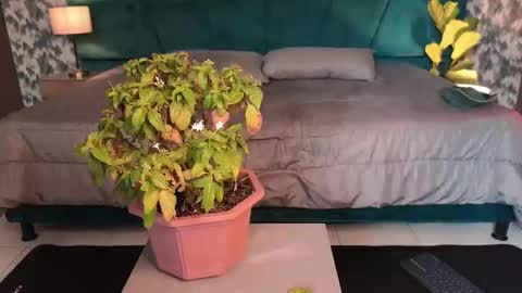 Aaron Ezequiel online show from January 2026 08:51:02 PM