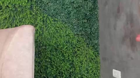 A B B Y online show from February 2025 03:18:02 PM