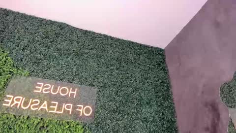 A B B Y online show from February 2025 12:11:01 PM