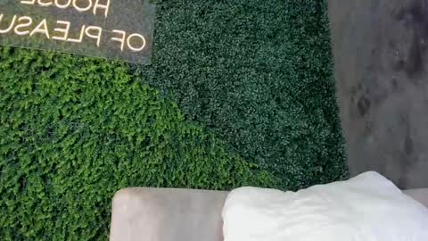 A B B Y online show from February 2025 06:21:01 PM