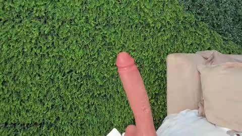 A B B Y online show from March 2025 03:29:01 PM