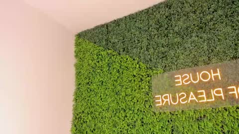 A B B Y online show from March 2025 12:09:02 PM