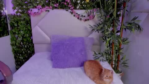 Snapshot of abby_piink chatting on November 2025 03:56:02 PM ABBY online show from November 2025 03:56:02 PM