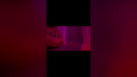 Snapshot of abigrace chatting on April 2026 12:27:01 AM abigrace online show from April 2026 12:27:01 AM