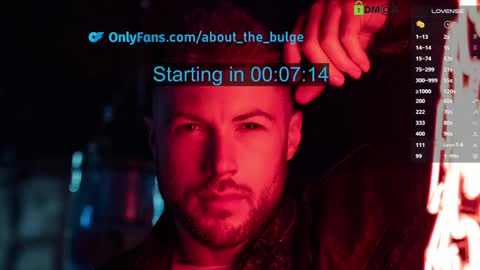 Snapshot of about_the_bulge chatting on January 2025 08:42:01 PM about_the_bulge online show from January 2025 08:42:01 PM