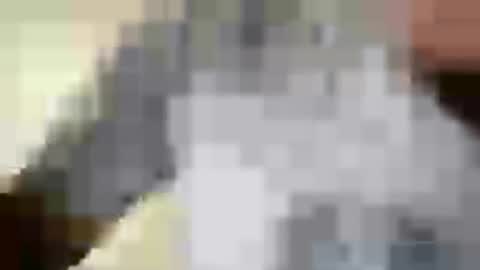 absltorres8 online show from July 2026 08:27:01 PM