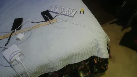 aCACiAs2022 online show from March 2026 02:17:02 AM