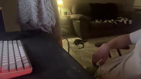 Remi and Ace online show from April 2026 03:37:02 AM