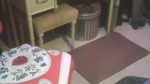 adamsny online show from February 2025 08:17:01 AM