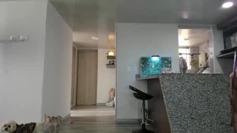 eva online show from February 2026 04:29:01 PM