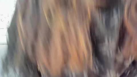 Snapshot of addiflower chatting on December 2024 04:33:02 AM addi online show from December 2024 04:33:02 AM