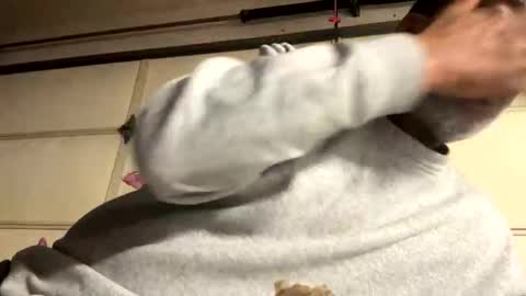 adick_ting online show from January 2026 11:37:02 AM