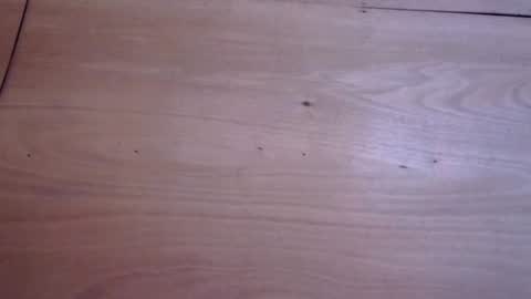 Snapshot of adriannahilcums chatting on August 2026 06:56:01 AM jasmine cum for u online show from August 2026 06:56:01 AM