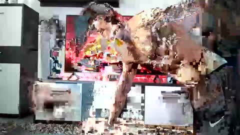 Snapshot of adrianohunt chatting on December 2024 08:58:02 AM Adriano online show from December 2024 08:58:02 AM