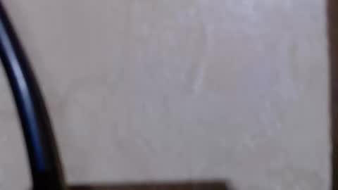 Snapshot of aeonian4 chatting on December 2025 11:23:02 PM aeonian4 online show from December 2025 11:23:02 PM