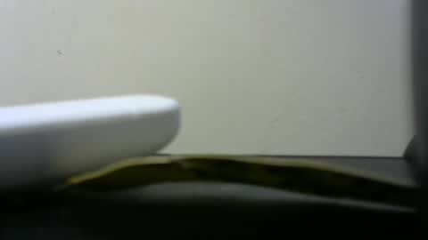 africanlovei online show from January 2025 06:01:02 PM