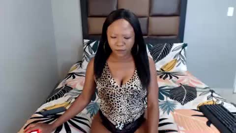 Africasoil online show from February 2026 11:39:02 AM