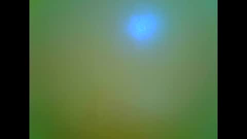 Snapshot of afrikana005 chatting on April 2026 03:42:02 PM afrikana005 online show from April 2026 03:42:02 PM